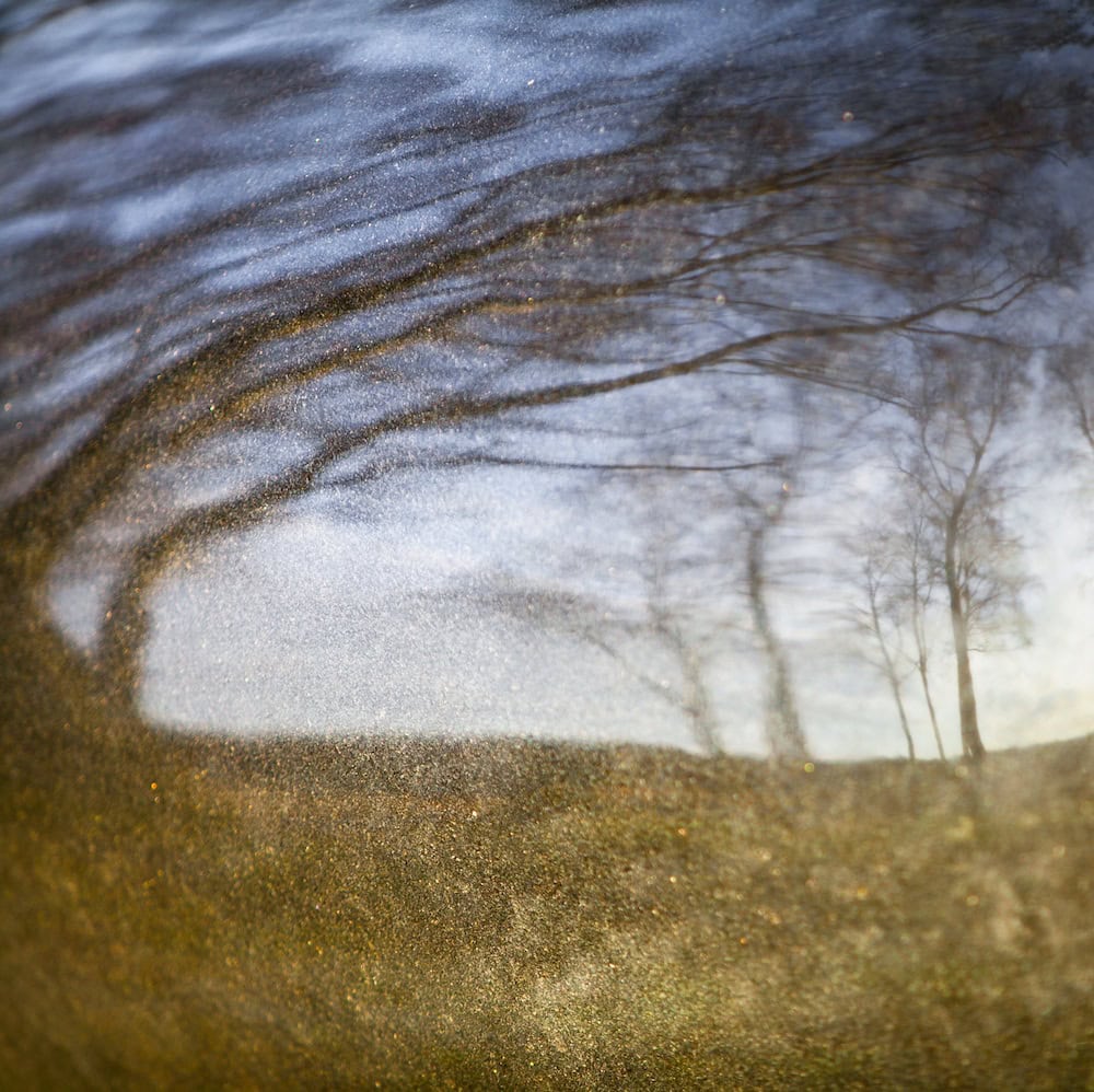 _MG_4815.2015klein