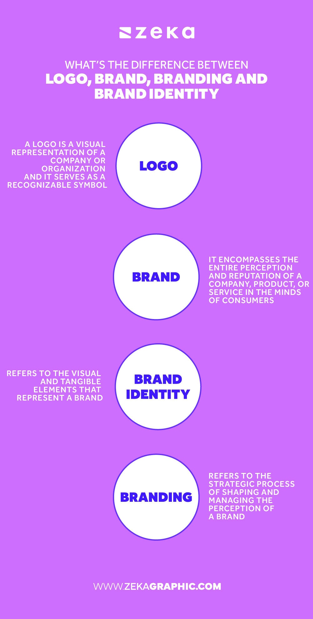what’s the difference between logo brand branding and brand identity infographic