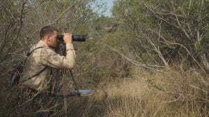 Bird Nest Observation Tips