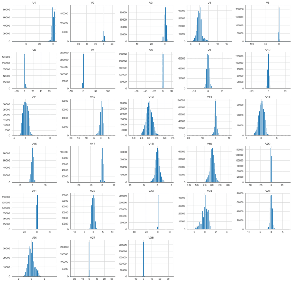 Multivariate Anomaly Detection on Time-Series Data in Python: Feature frequency distributions on credit card data