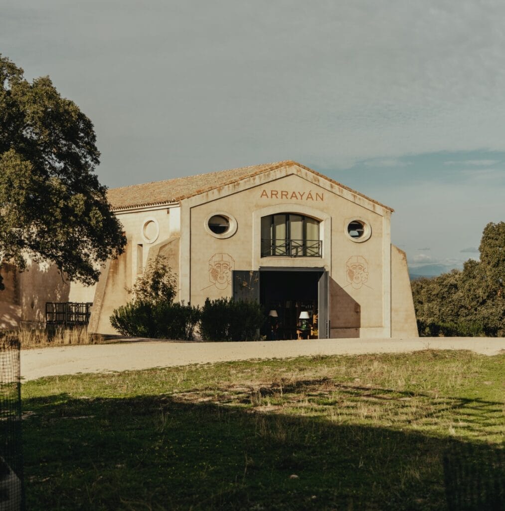 Bodega verdosa