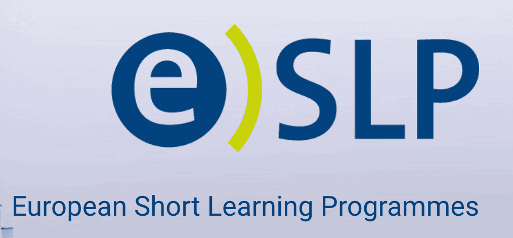 Short Learning Programmes