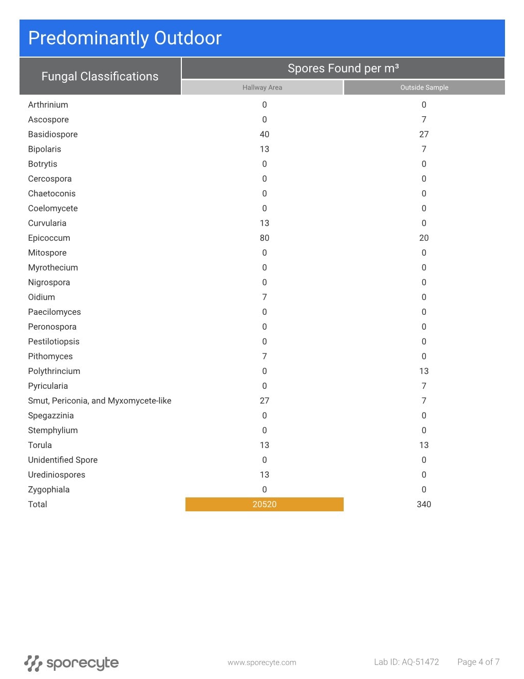 Realistic mold testing and sample report image showing a residential home, indoor air quality testing equipment, mold spores, and laboratory results for homes and rental properties in Eastern North Carolina.