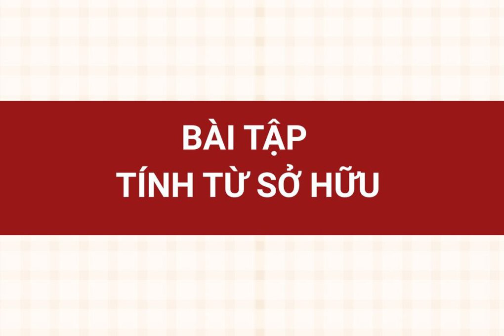 Bài tập tính từ sở hữu có đáp án chi tiết