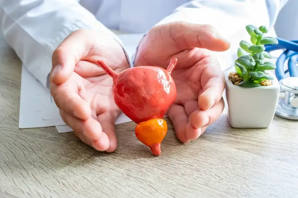 Sintomi della prostatite acuta e cronica