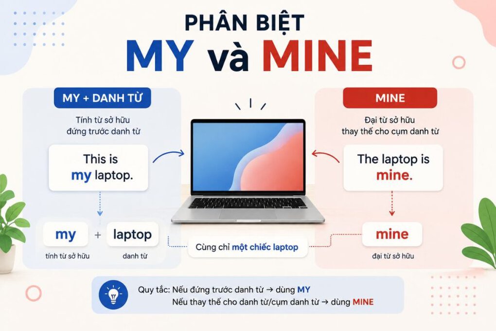 What Are Possessive Pronouns?