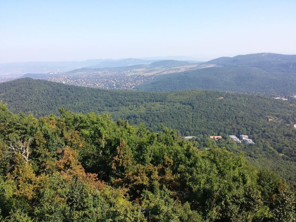 Mountain bike adventure in Buda