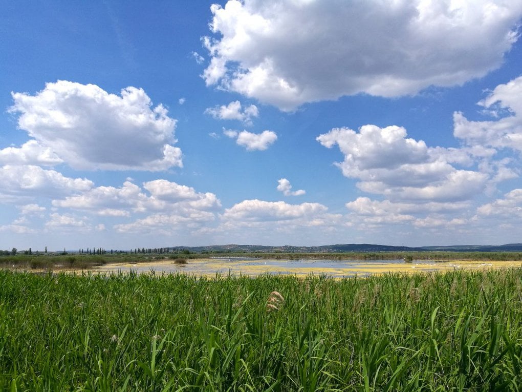 Velence lake bike tour