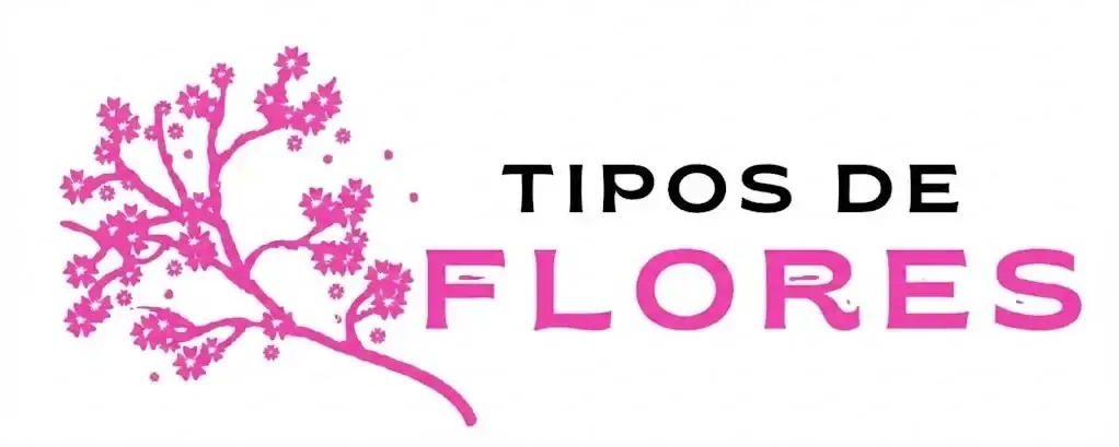Tipos de flores