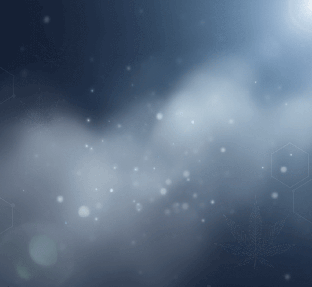 The CBD Expert Contact Us