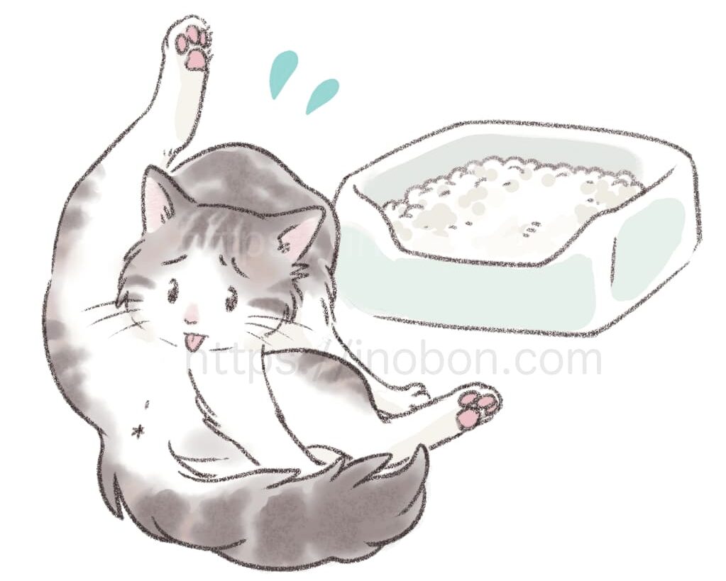 トイレの前で困っている猫