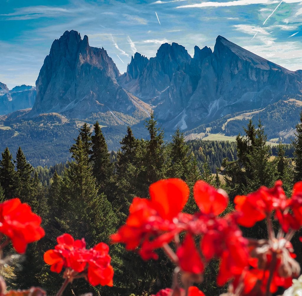 Efterårsfarver og bjerge fotorejse dolomitterne