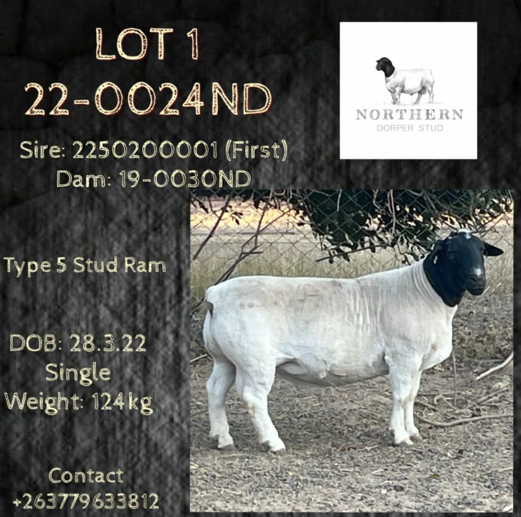 Lot 001