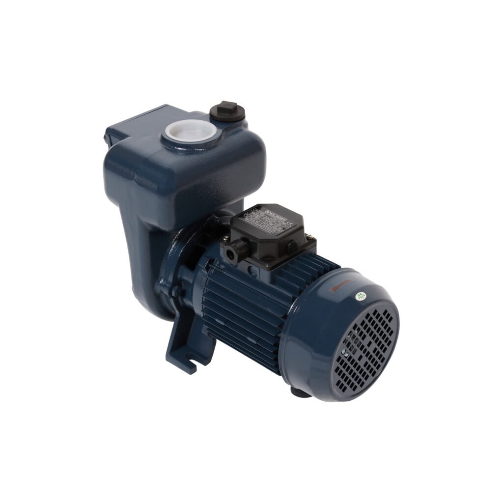 Dave Self Priming Pump