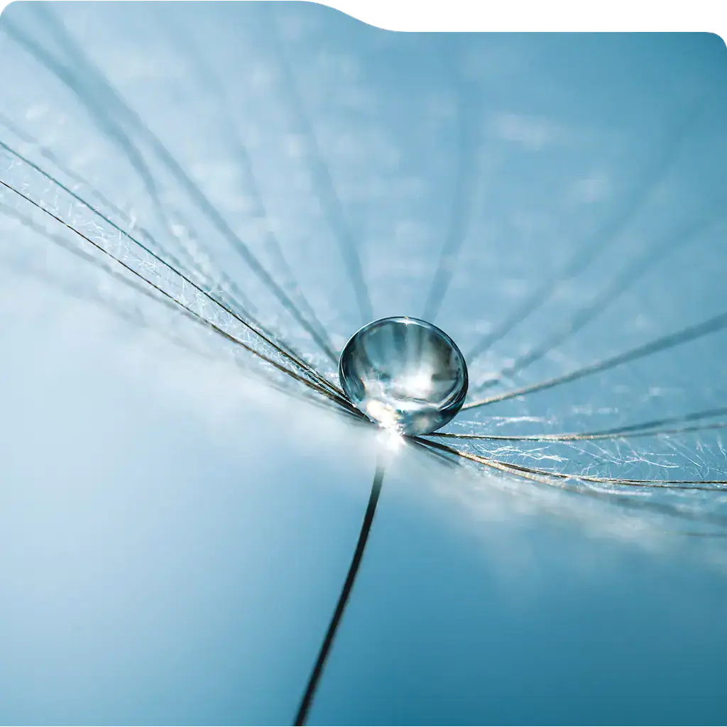 Venezia • Constats