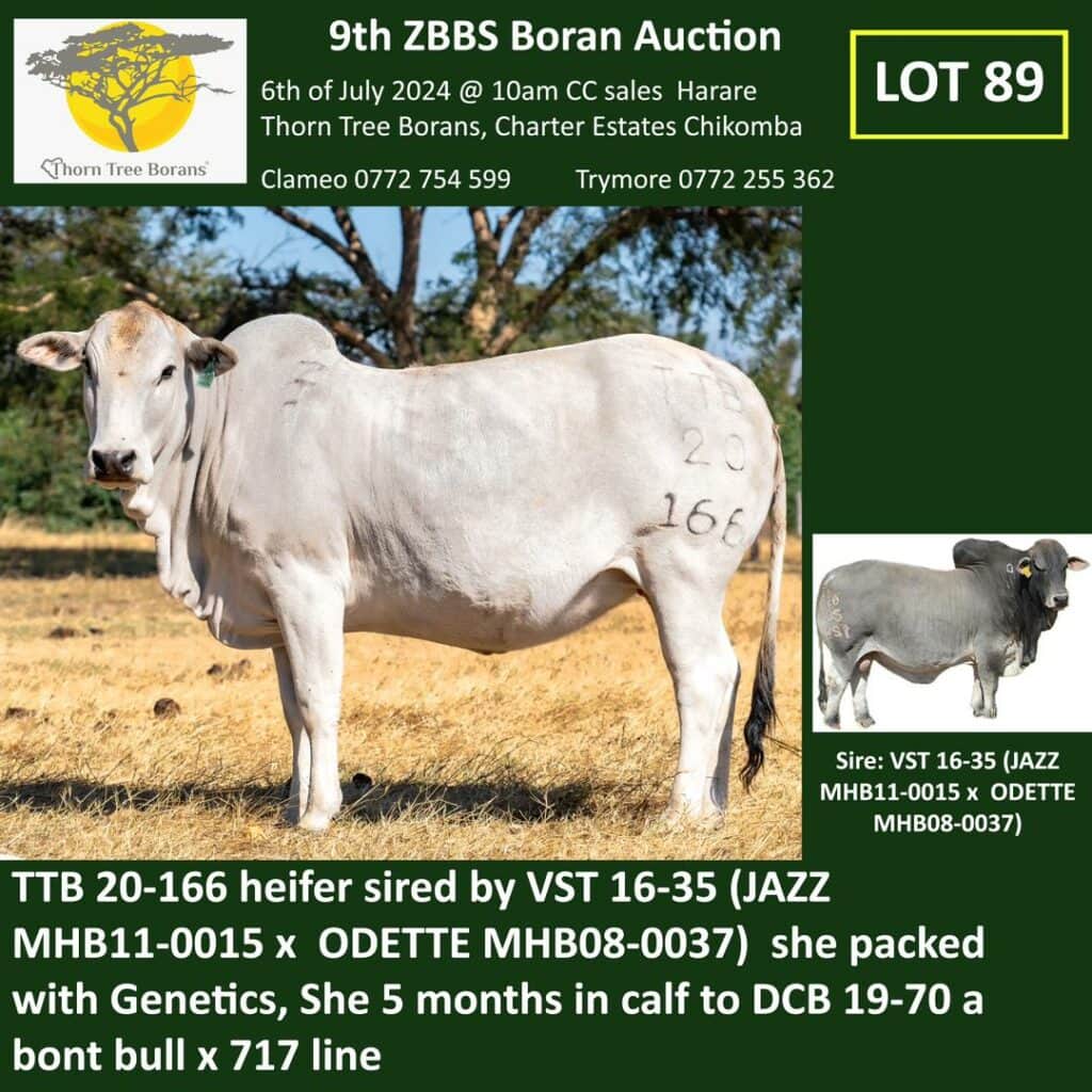 Lot 89