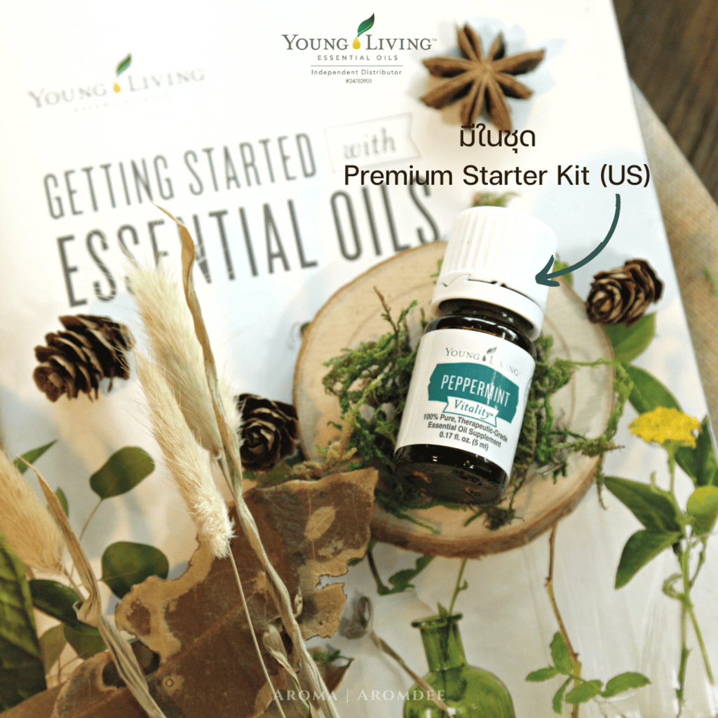Peppermint vitality มีในชุด Premium Starter Kit