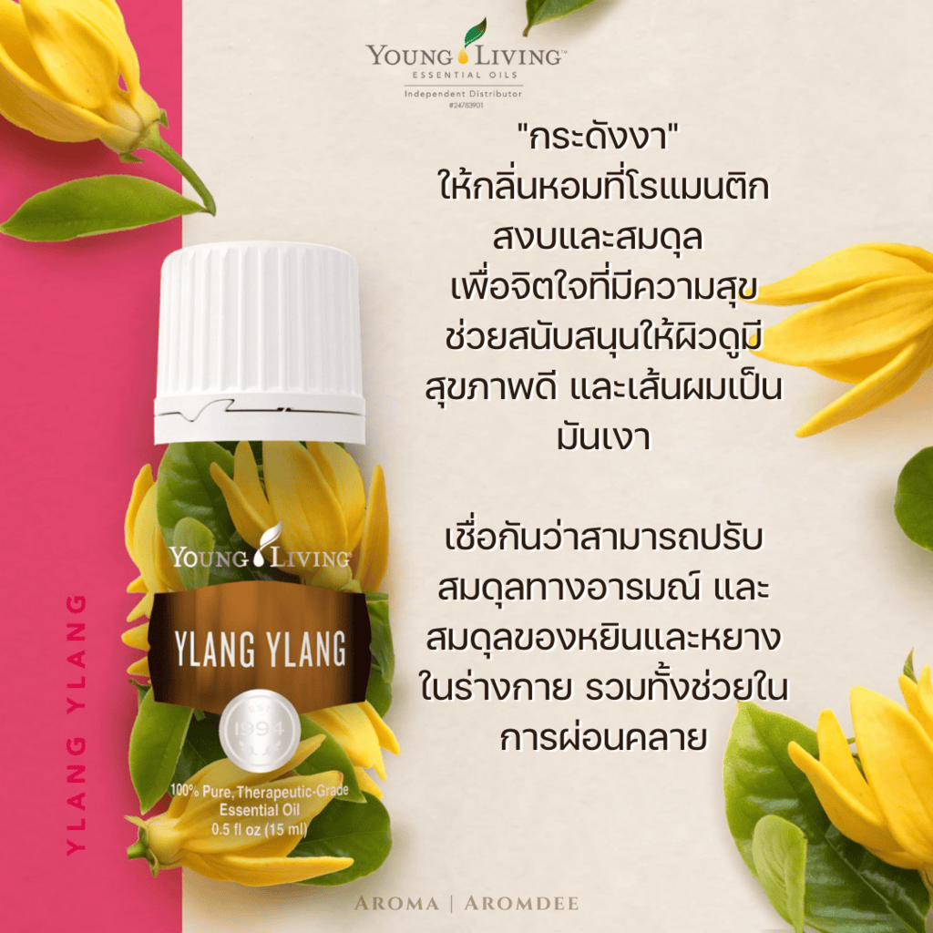 ประโยชน์น้ำมันหอมระเหยกระดังงา ylang ylang essential oil benefit th