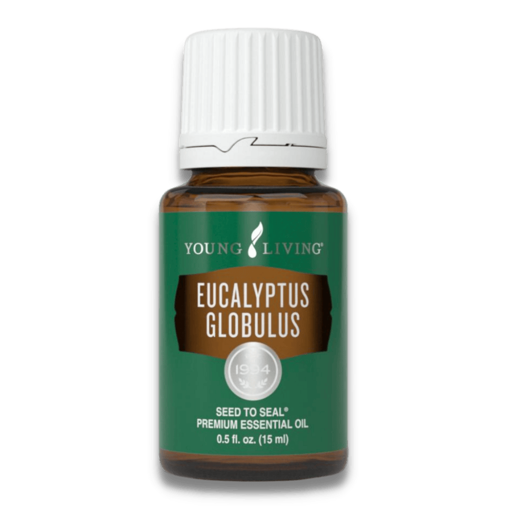 น้ำมันยูคาลิปตัส โกลบูลลัส Young Living Eucalyptus Globulus Essential Oil