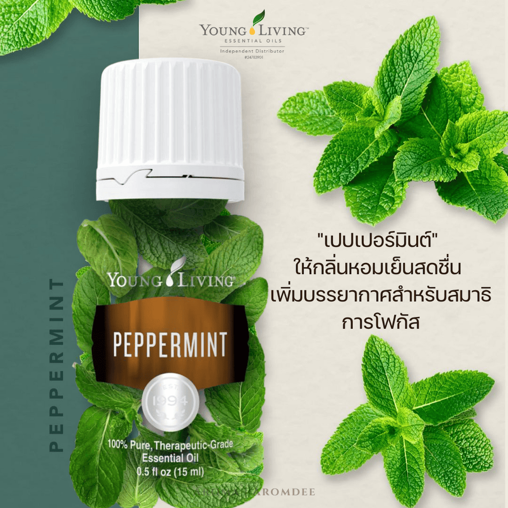 ประโยชน์น้ำมันหอมระเหยเปปเปอร์มินต์ Young Living