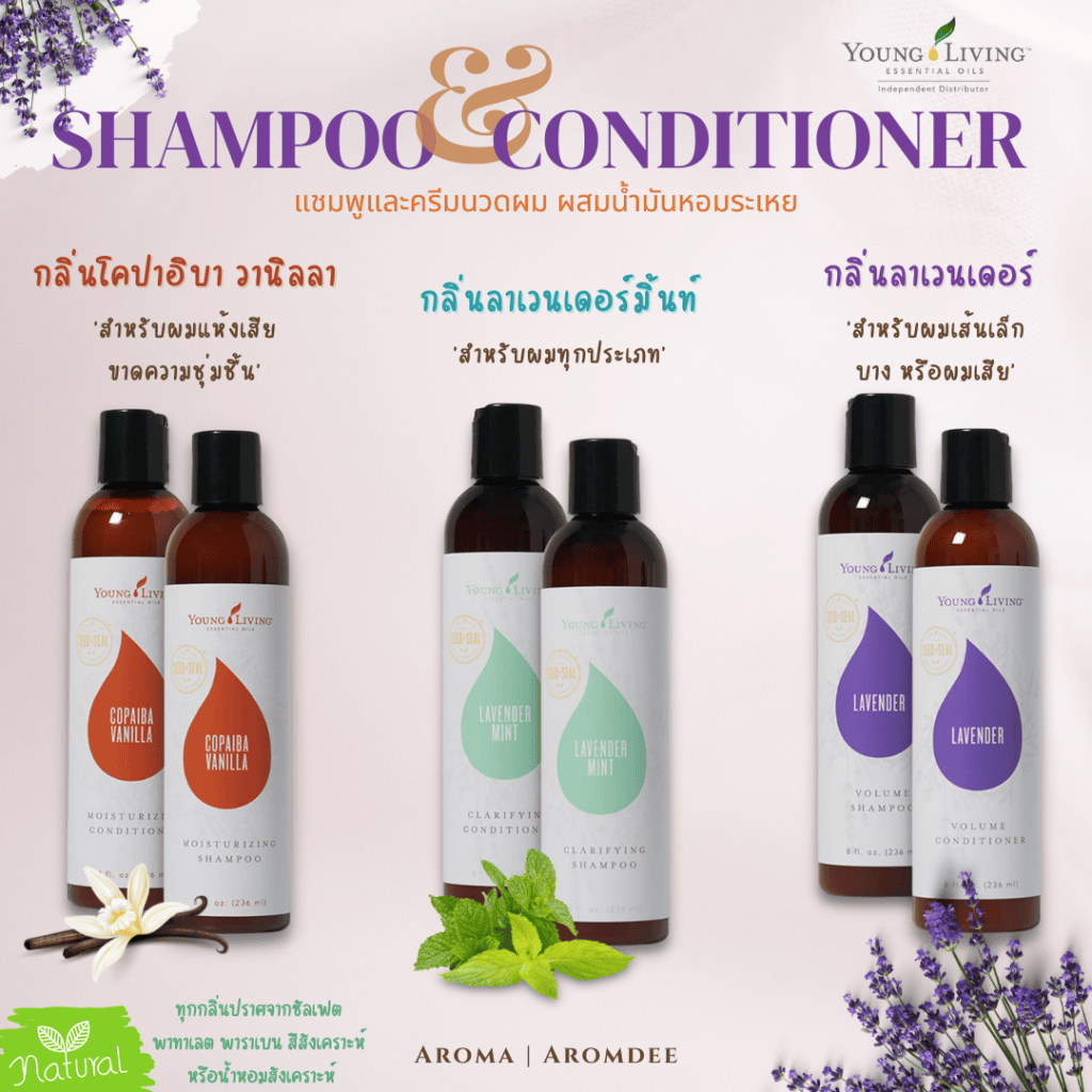 รีวิวสินค้า young living shampoo & conditioner แชมพูและครีมบำรุงผม