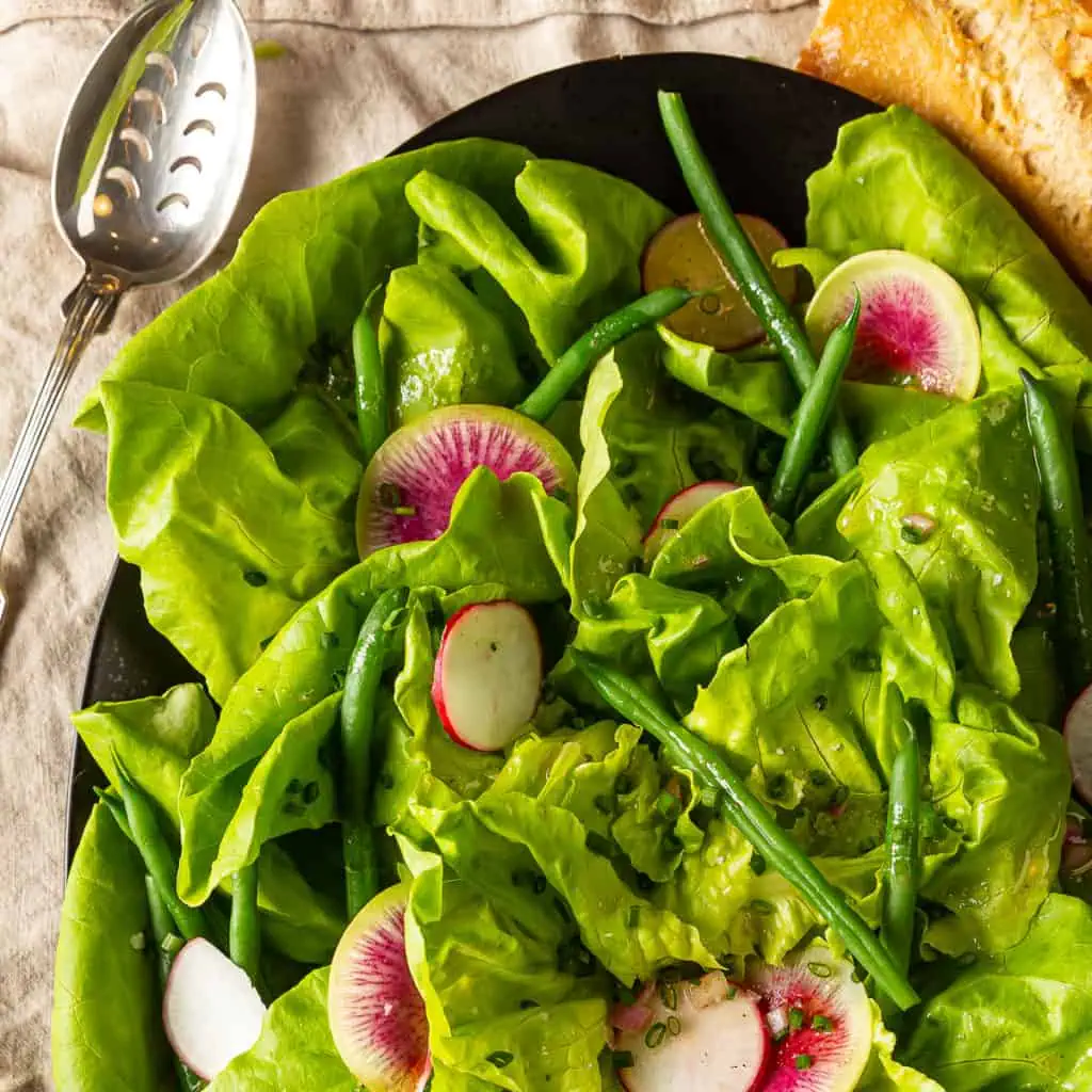 butter lettuce salad