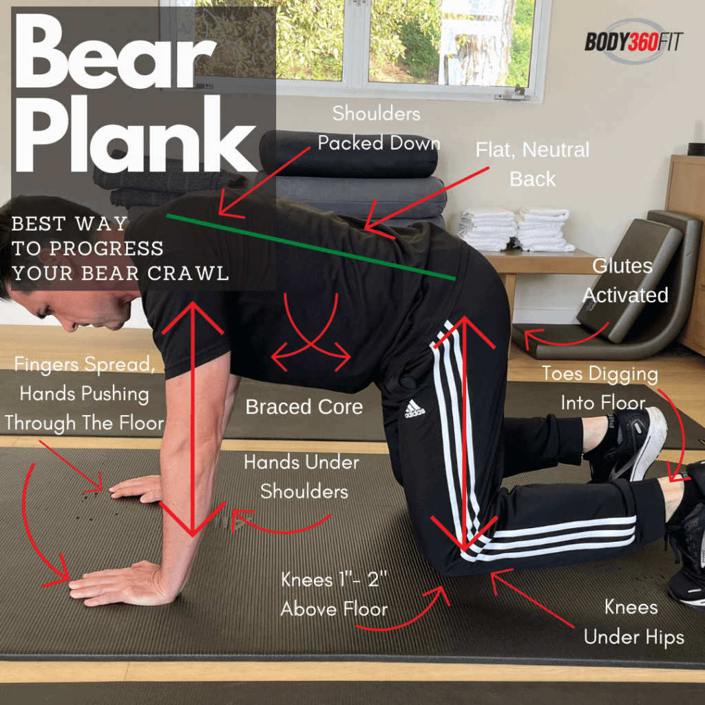 7 Bear Crawl Exercise Benefits (How To + Variations & PDF)