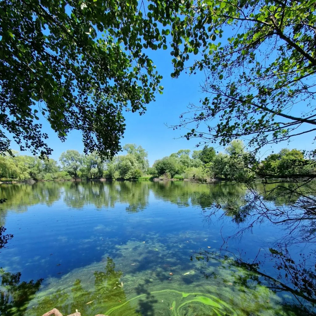 Mönchbruchweiher bei Mörfelden Walldorf