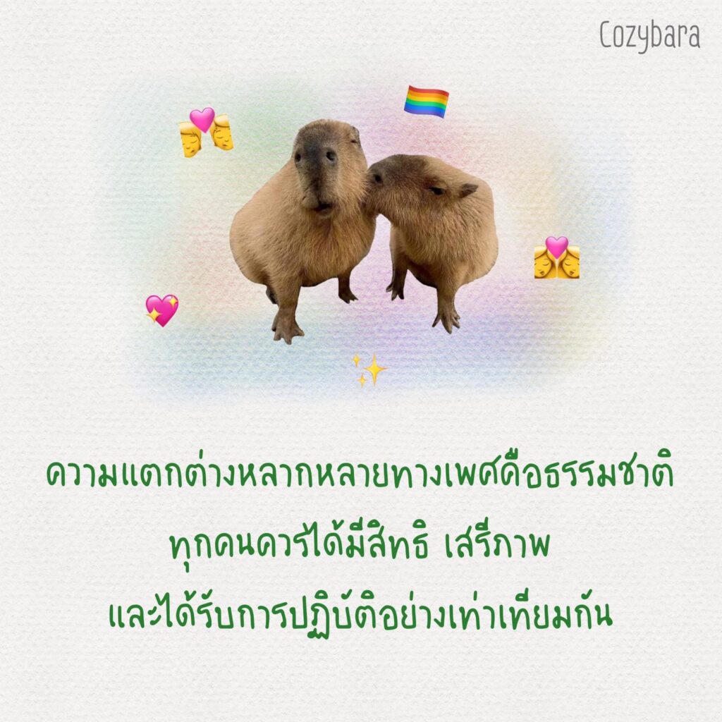 ความแตกต่างหลากหลายทางเพศคือธรรมชาติ ทุกคนควรได้มีสิทธิ เสรีภาพ และได้รับการปฏิบัติอย่างเท่าเทียมกัน ความแตกต่างหลากหลายทางเพศคือธรรมชาติ ทุกคนควรได้มีสิทธิ เสรีภาพ และได้รับการปฏิบัติอย่างเท่าเทียมกัน