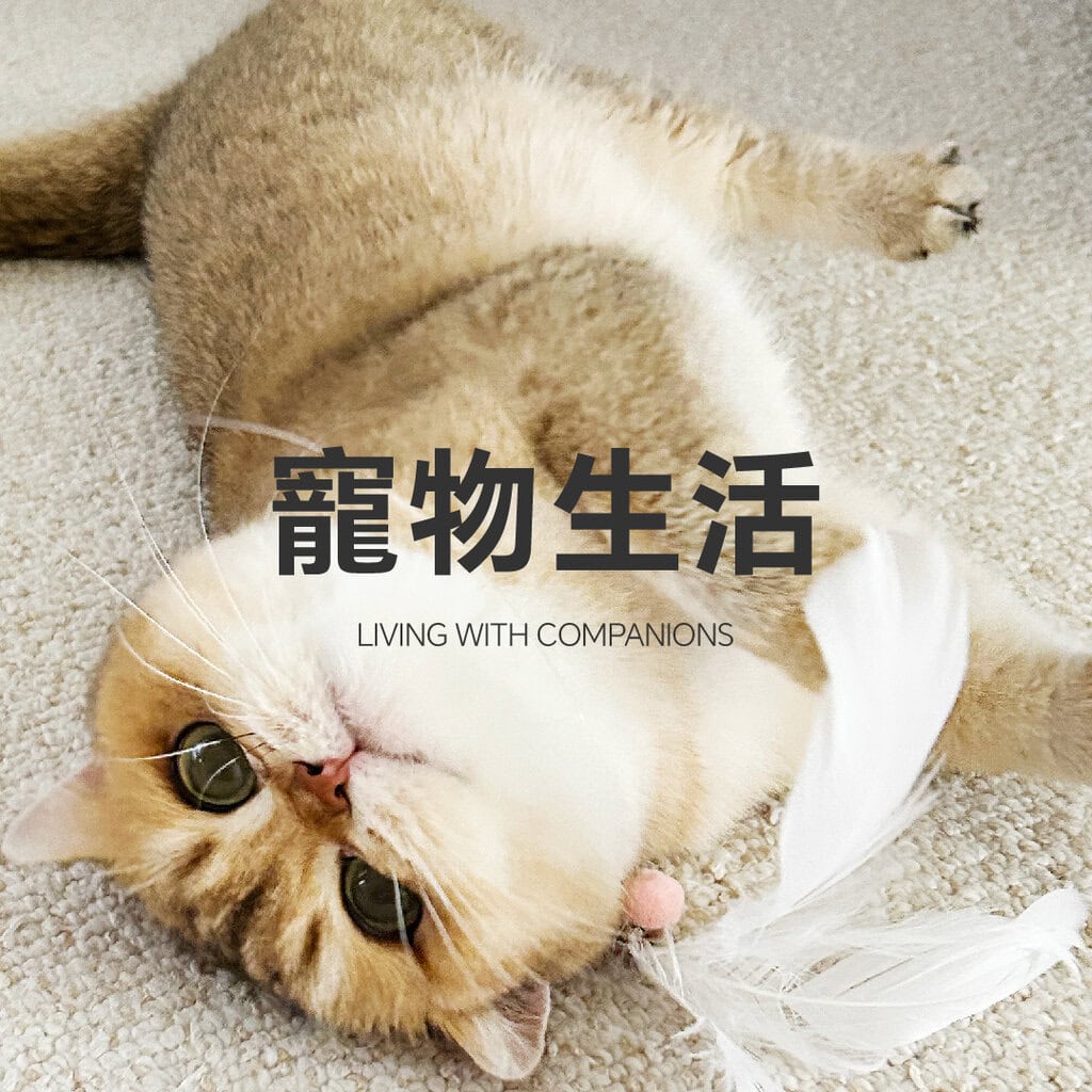 寵物生活天然大理石選物－東西室物所