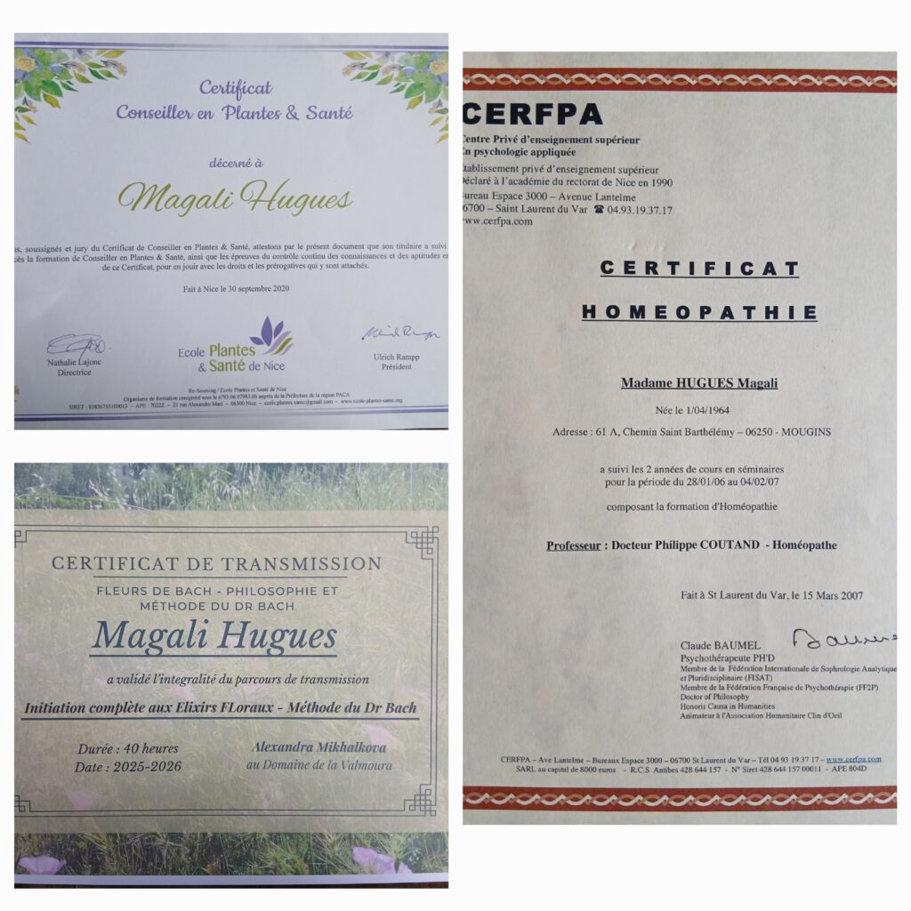 Attestations – 3 - Ateliers de naturopathie à Mouans-Sartoux