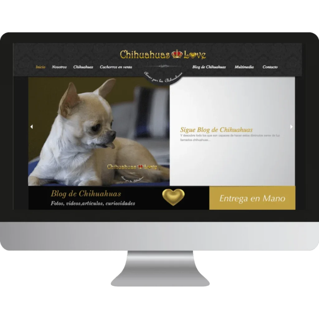 Portafolio 6 proyectos sitio web gestion canina
