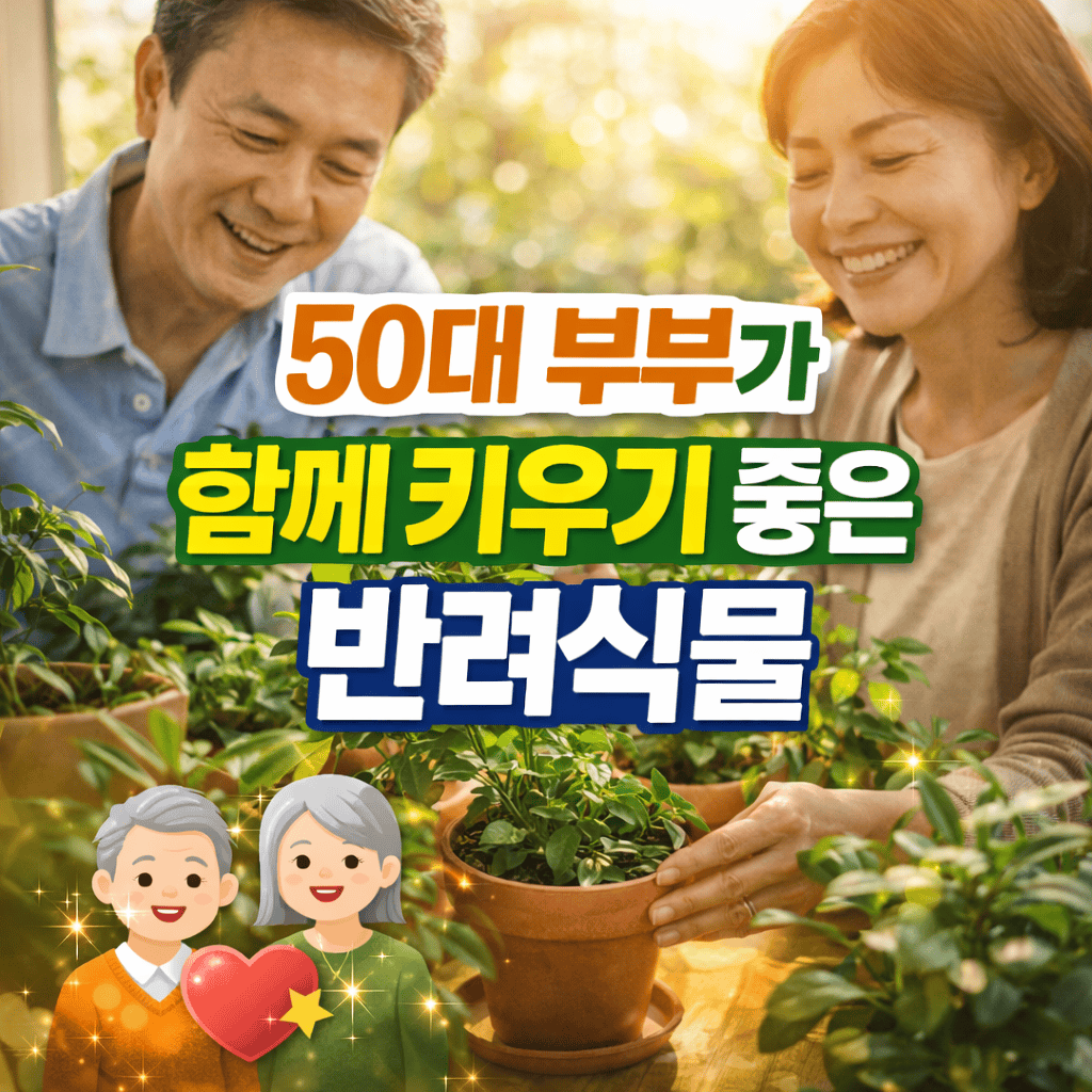 50대 부부 함께 키우는 반려식물