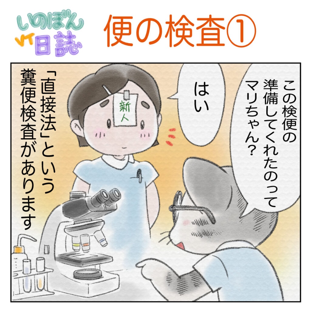 動物病院の４コマ漫画、動物看護師