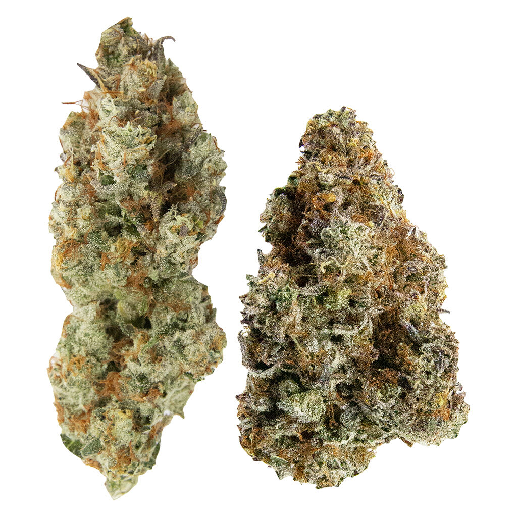 Yin Yang 14g <br>Hybrid <br>Sticky Glove 30.34% | Chocolope 29% <br>2.3% Terps