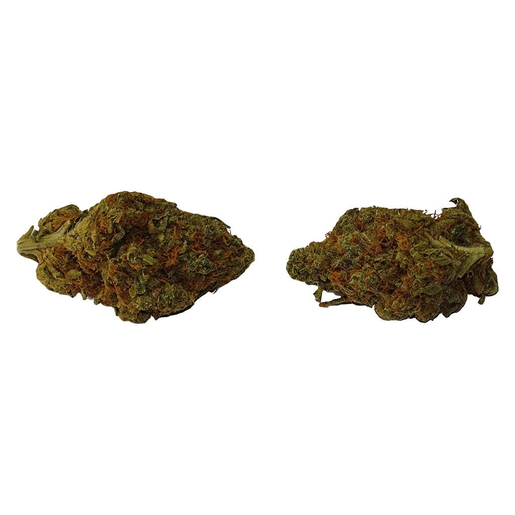 True Core Uzi 14g Sativa Big Bag featuring premium, hand-trimmed craft cannabis flower.