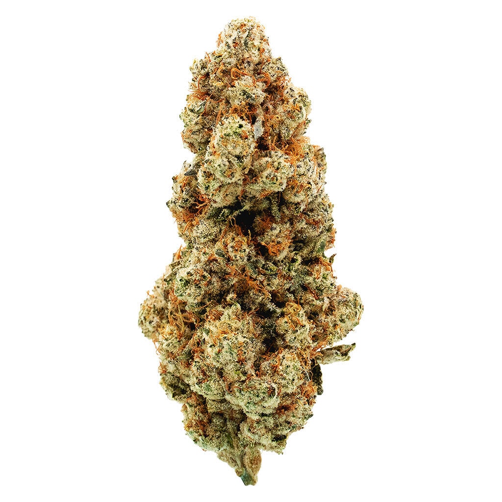 El Jefe 28g Big Bag indica flower by MTL Cannabis - Montrose Cannabis