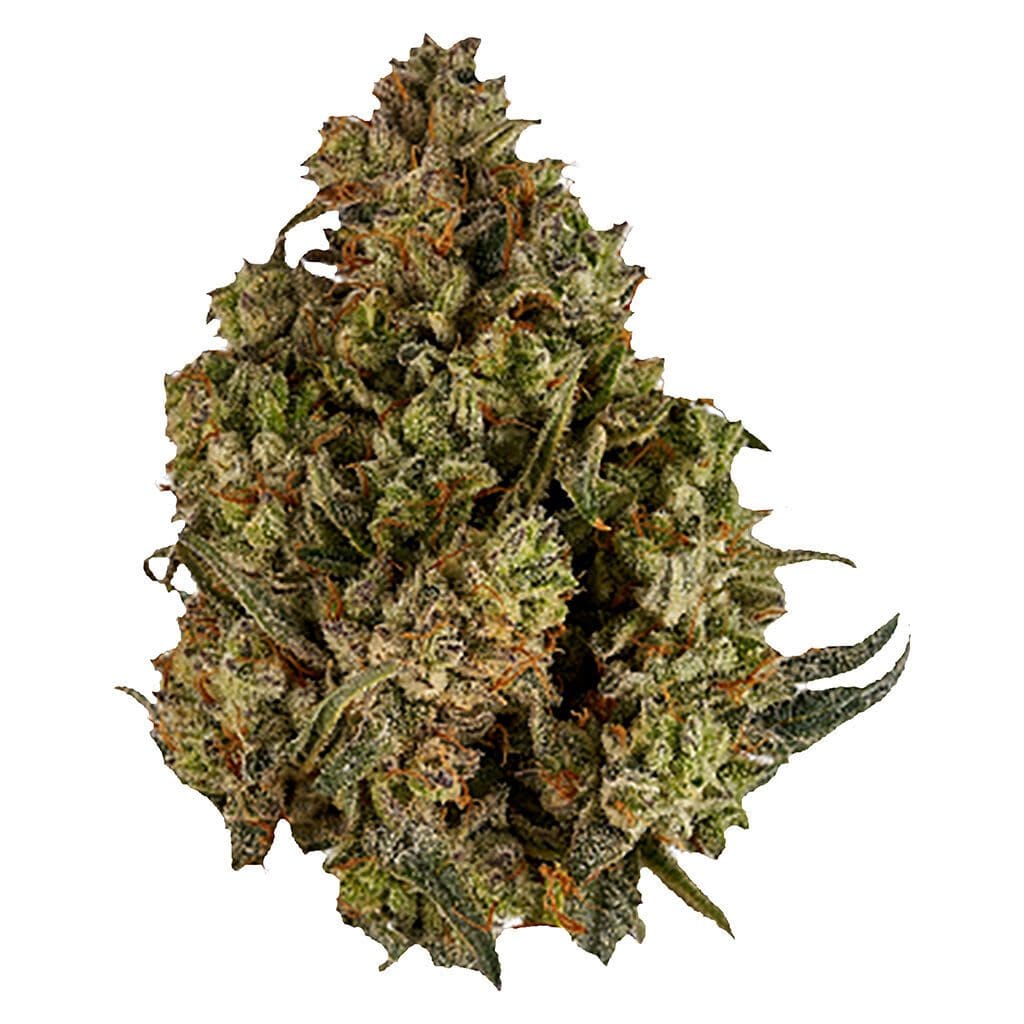Halftime Balanced 1:1 CBD 7g | Viola | Montrose Cannabis
