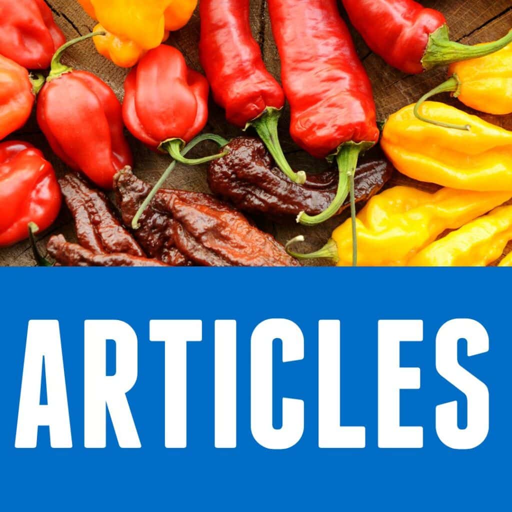 Articles icon with chili peppers