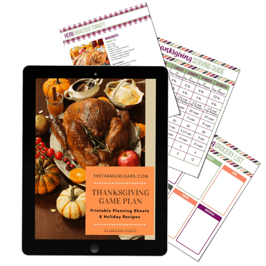 Thanksgiving Game Plan Printable Thanksgiving Planner