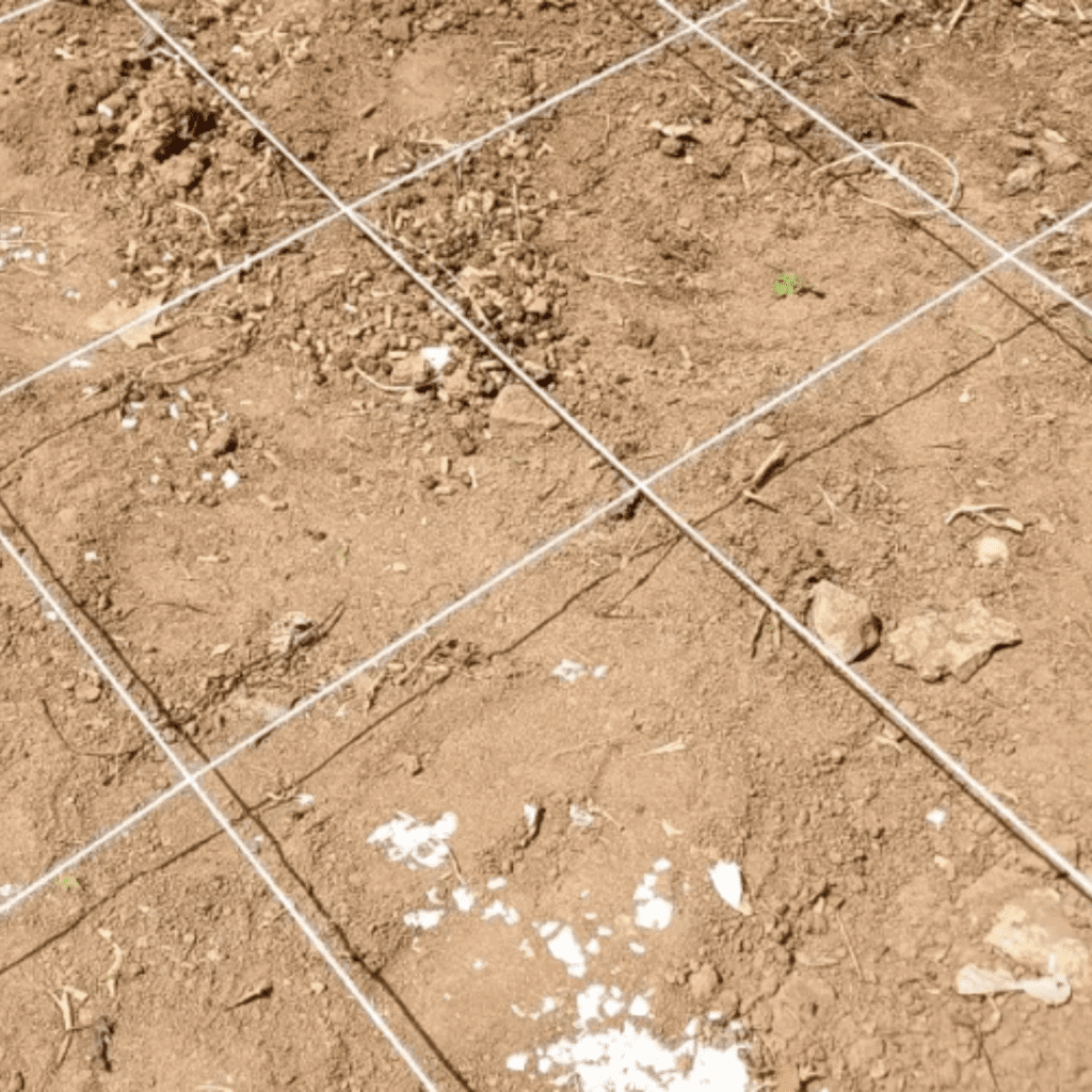 Image illustrates a grid for a square foot garden for a survival garden.