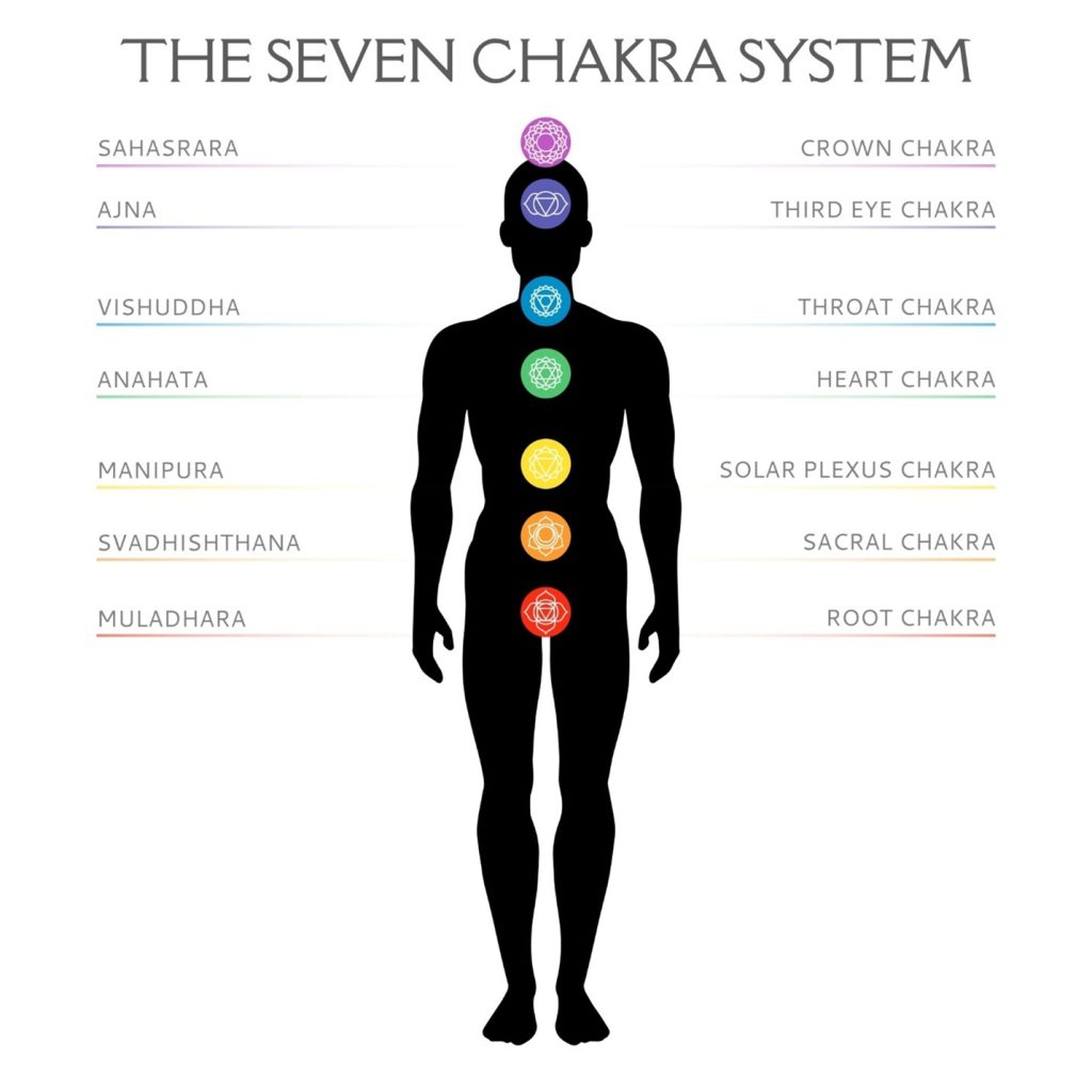An infographic titled 'The Seven Chakra System' featuring a black human silhouette with seven colored circular symbols aligned vertically along the center. From top to bottom, the chakras are labeled with their Sanskrit and English names: Sahasrara (Crown Chakra, purple), Ajna (Third Eye Chakra, indigo), Vishuddha (Throat Chakra, light blue), Anahata (Heart Chakra, green), Manipura (Solar Plexus Chakra, yellow), Svadhisthana (Sacral Chakra, orange), and Muladhara (Root Chakra, red).