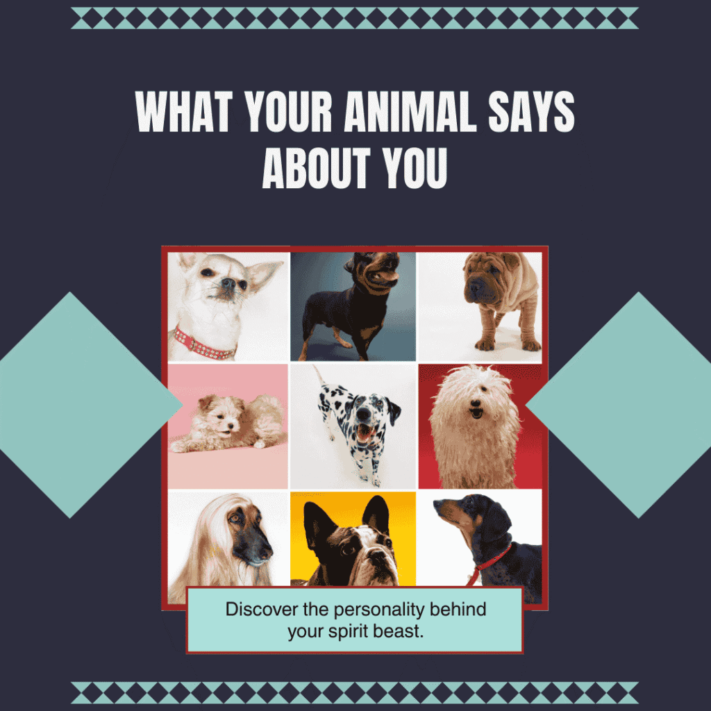 What Your Animal Says About You