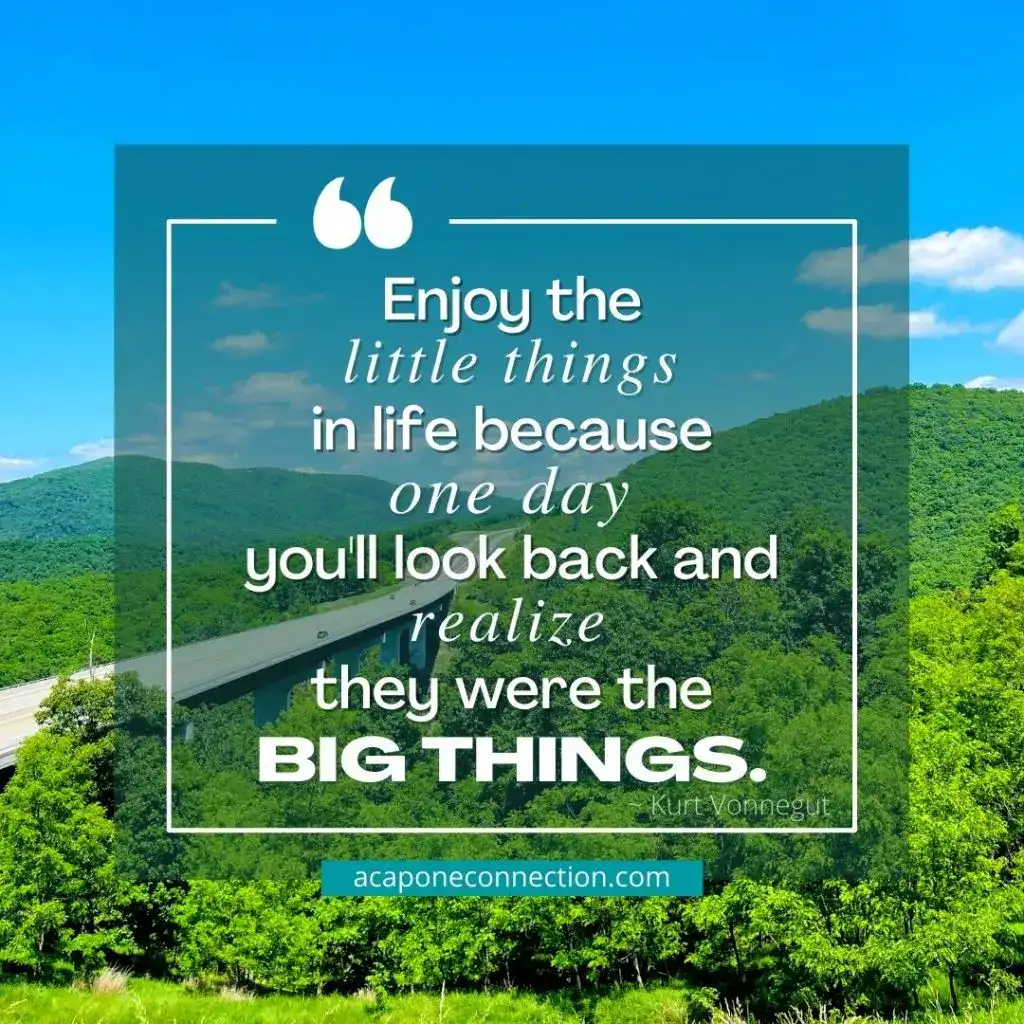 Motivational Quote Enjoy the little things in life because one day youll look back and realize they were the big things