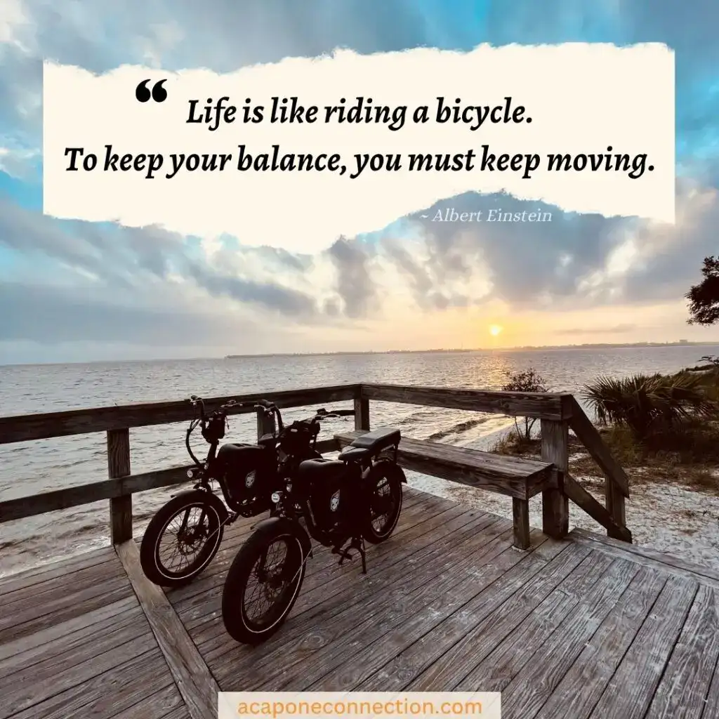 Travel Quotes Life is Like Riding a Bicycle. To keep your balance you must keep moving.