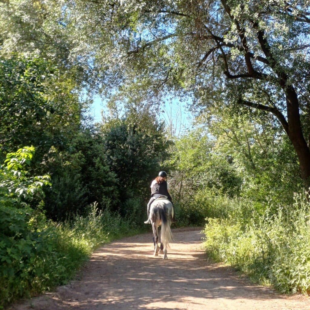 Passeggiate a cavallo nel parco di villa Ada