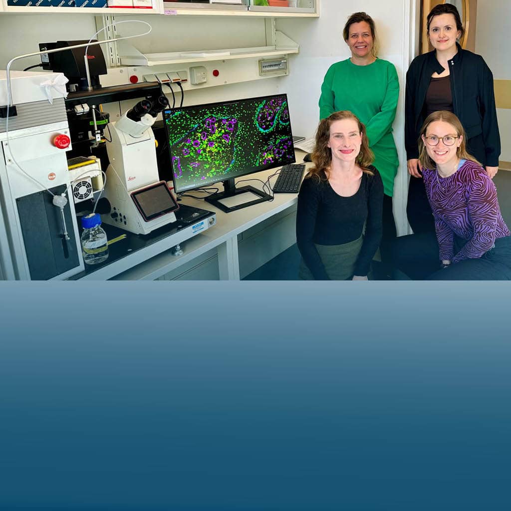 Bild mit den vier Wissenschaftlerinnen, die das Mikroskopiebild erstellt haben.