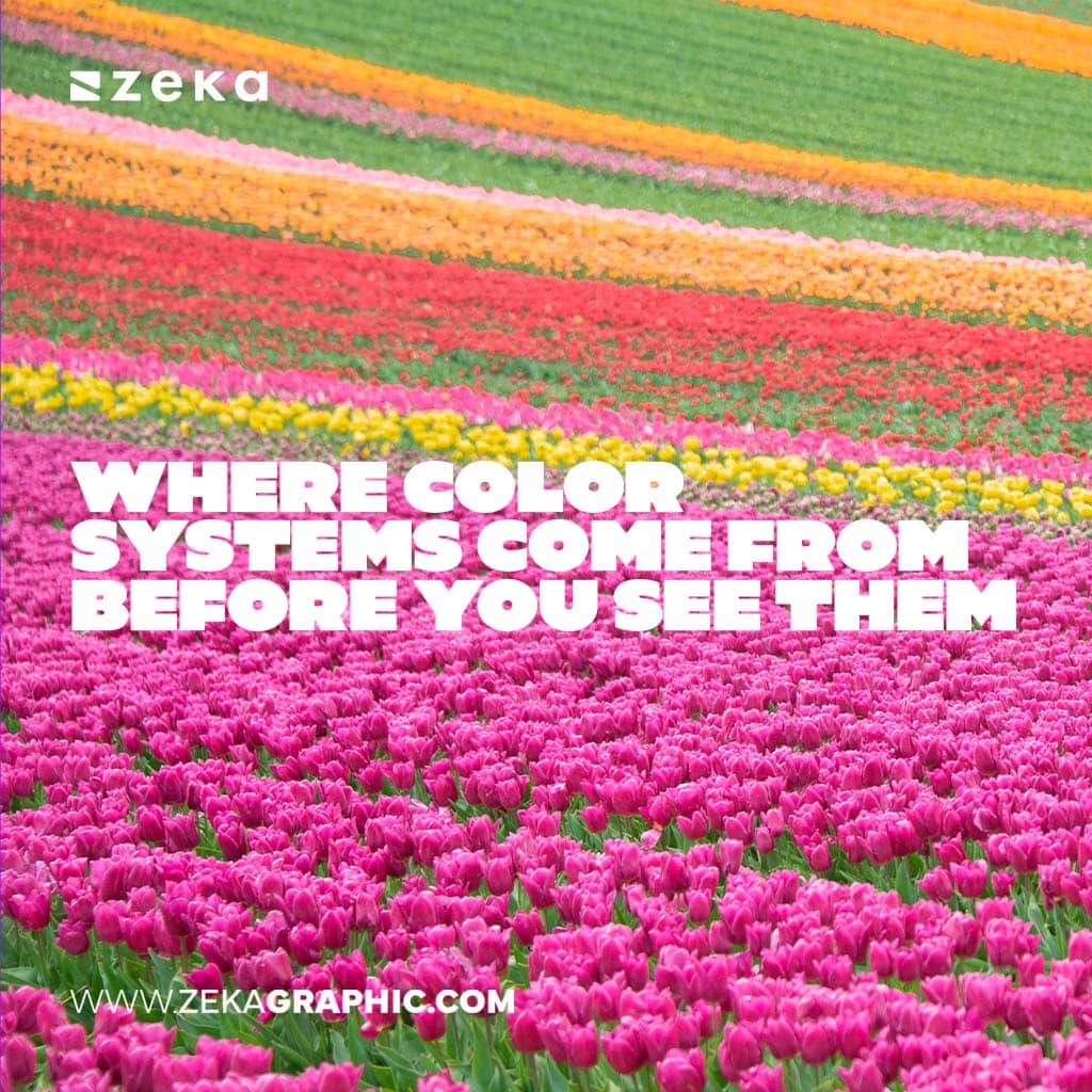 Square photo of a vibrant field of pink, yellow, orange, and red tulips with bold text reading "Where Color Systems Come From Before You See Them".