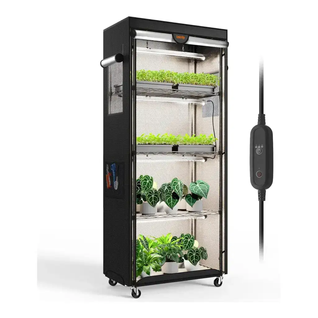 Bstrip Oxford four-tier greenhouse with reflective enclosure.