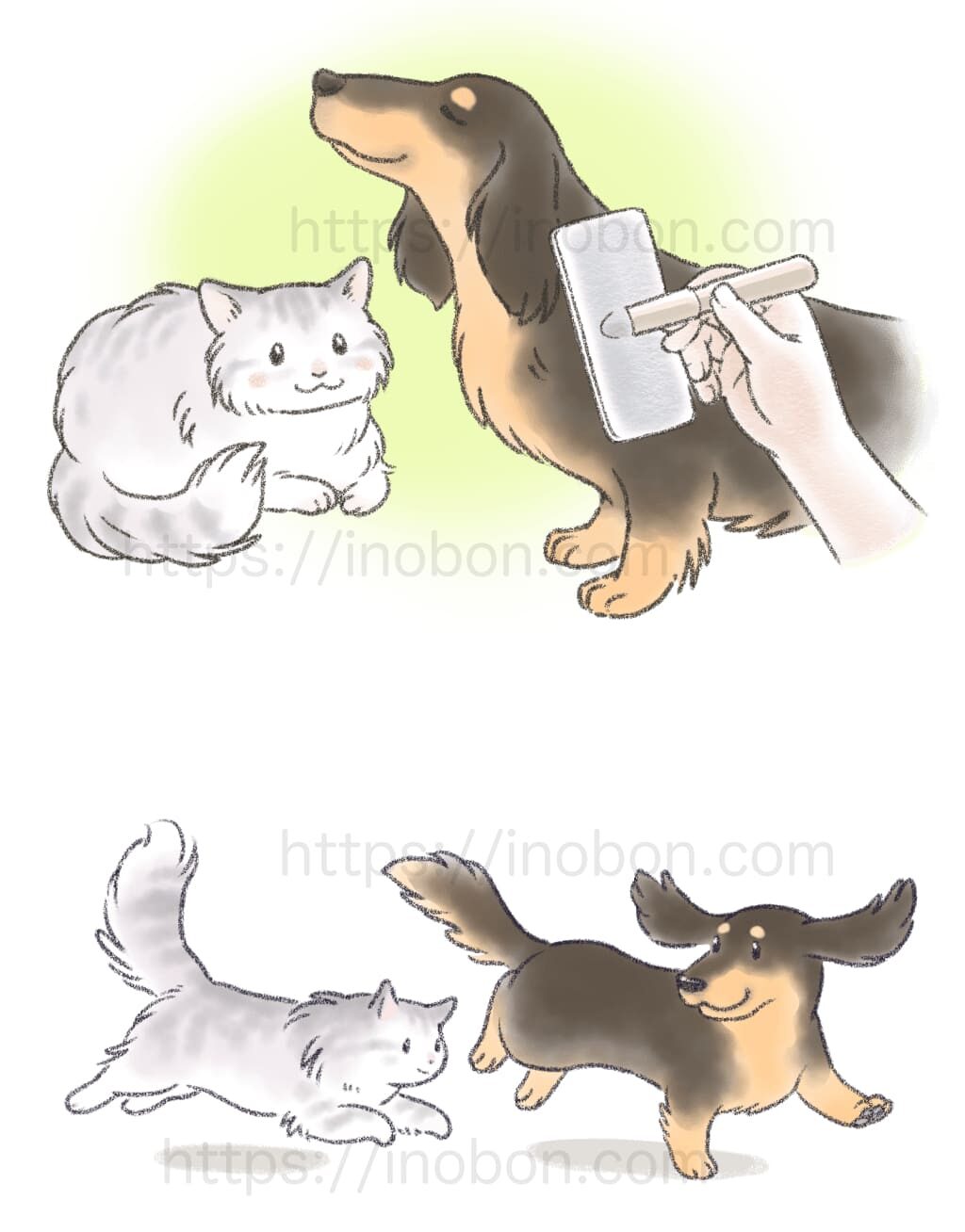 気持ち良さそうにブラッシングしてもらうダックスフントと猫、仲良く元気に走る犬と猫
